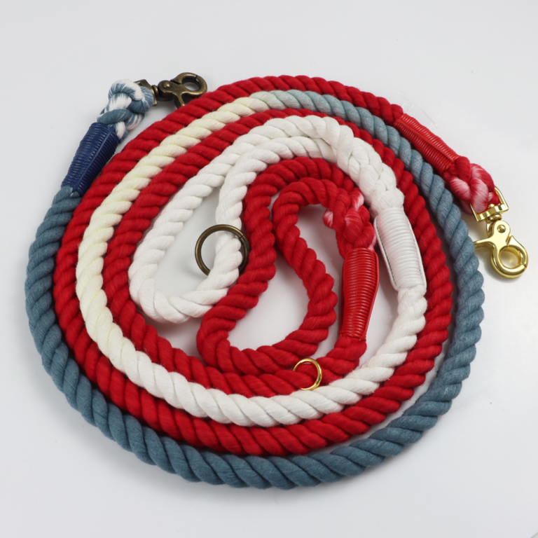 Orange & Electric Blue Rope Dog Leash main image 1