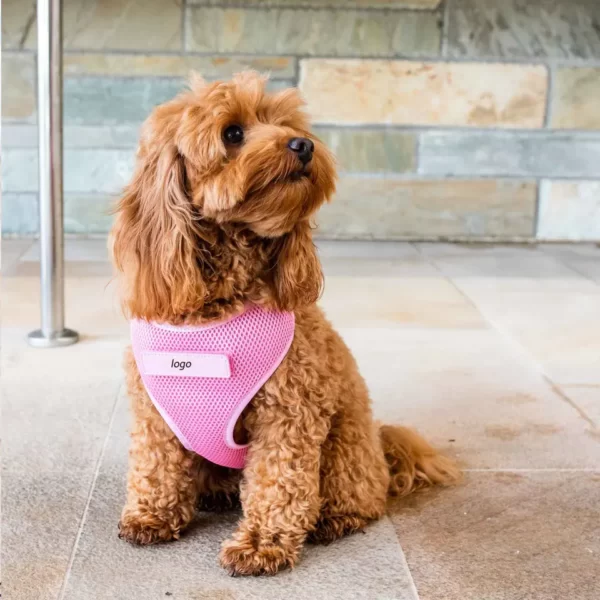 No Pull No Choke Dog Harness - Image 4