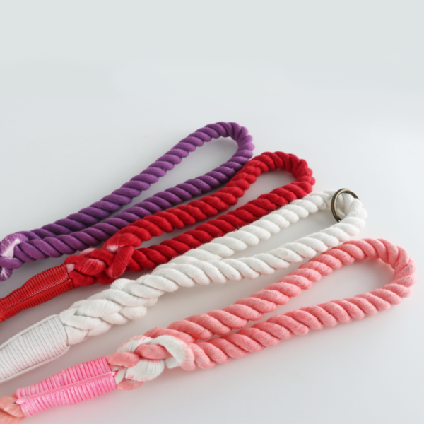 Personalized Cotton Rainbow Rope Dog Leash - Image 4
