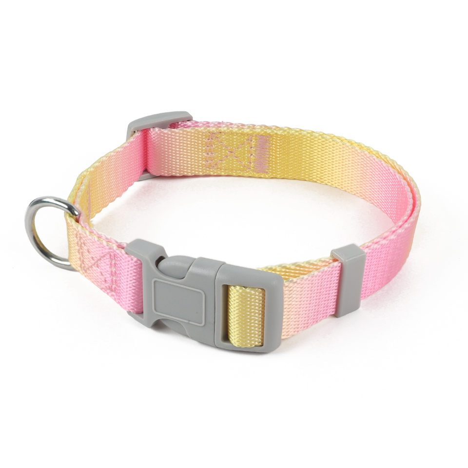 Luxury Gradient Color Dog Collar Manufacturer