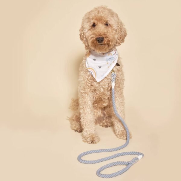Cotton Rope Leash Manufacture