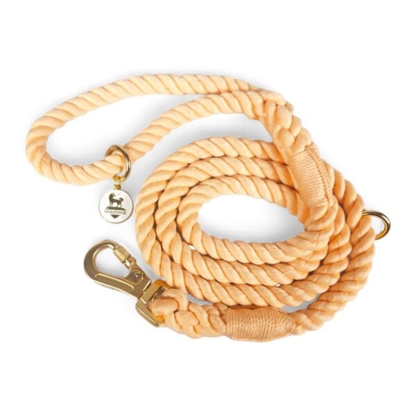 High Quality Black Cotton Dog Leash - Image 3