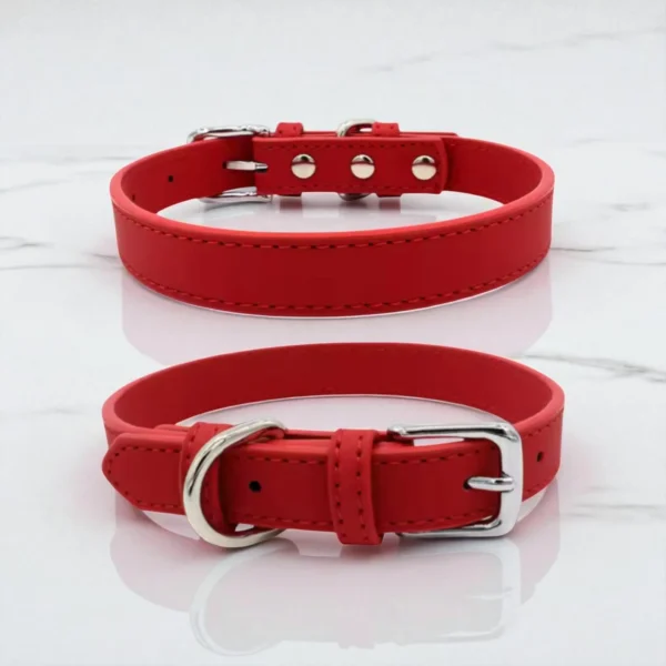 Eco-Friendly Dog Collar Supplier