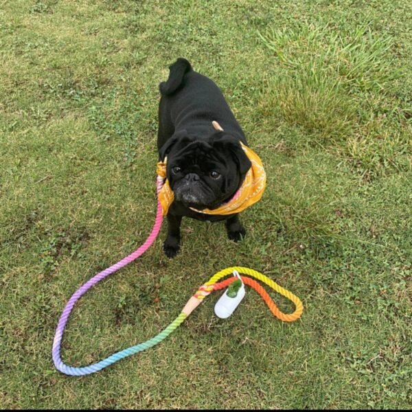 Customisable Adventure Dog Leash-Desert Recycled Quality Handmade Rope Dog Lead - Image 2