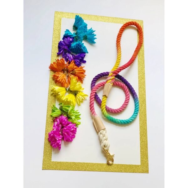 Customisable Adventure Dog Leash