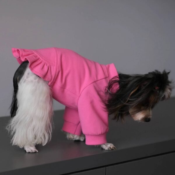Woollen Dog Clothing Supplier