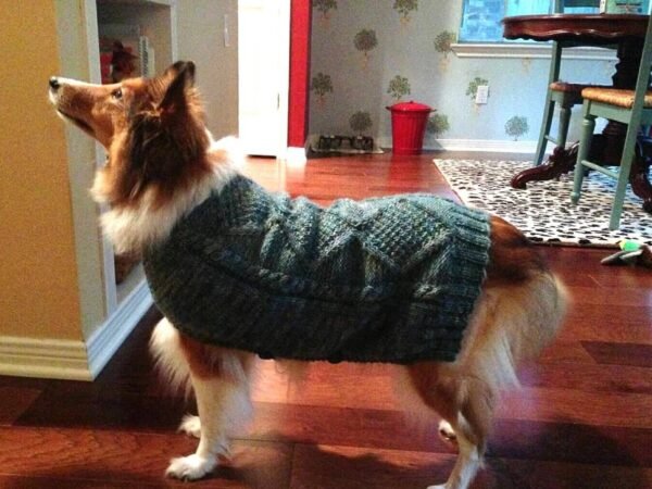 Dog Sweater Exporter and Supplier