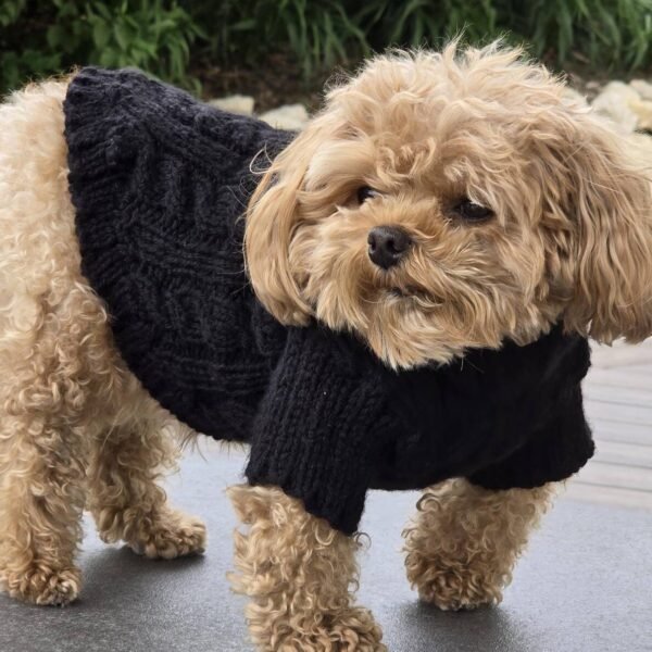 Black Dog Sweater manufacturer