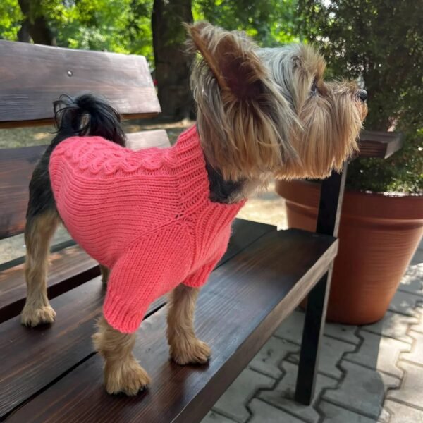 Handmade Pet Clothing Manufacturer - Image 2