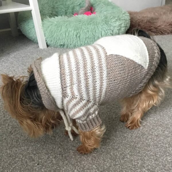 Pure wool dog sweater manufacturer - Image 4