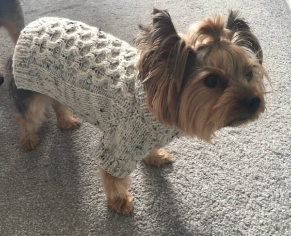 Manufacturer of Woollen sweater for dogs