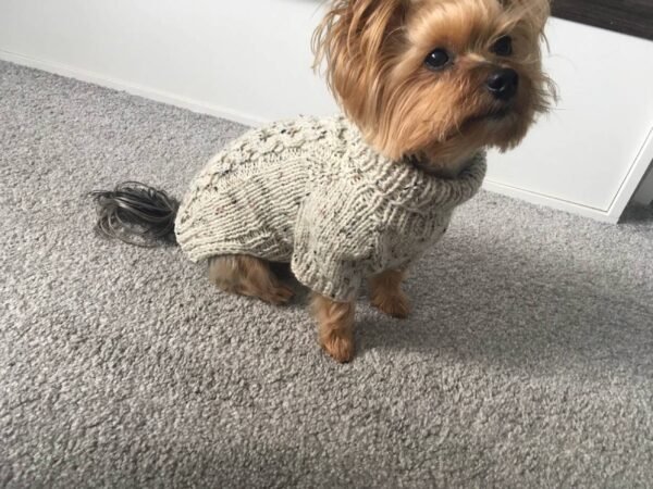 Manufacturer of Woollen sweater for dogs - Image 2