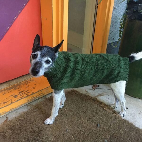 Dog Sweaters Manufacturer - Image 2