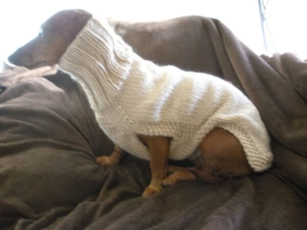 Personalized dog sweater suppliers