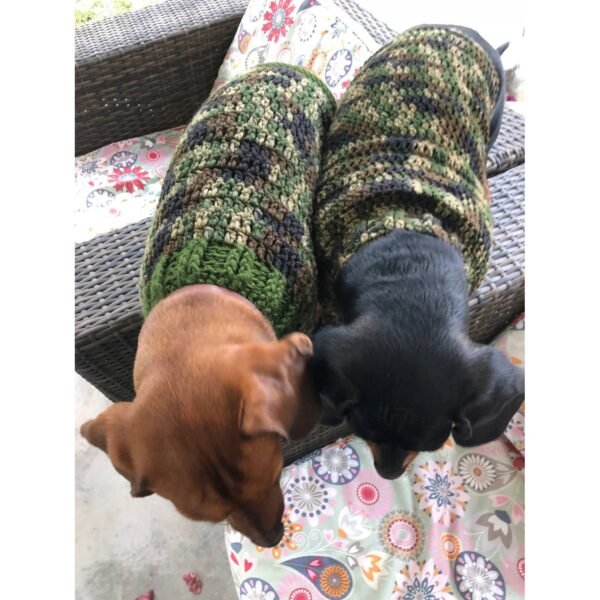 Manufacturer of Woollen pet sweater for medium dogs