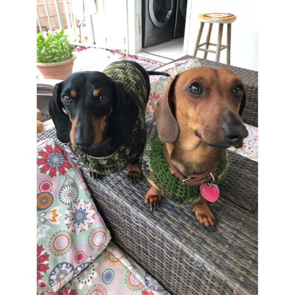 Manufacturer of Woollen pet sweater for medium dogs - Image 2