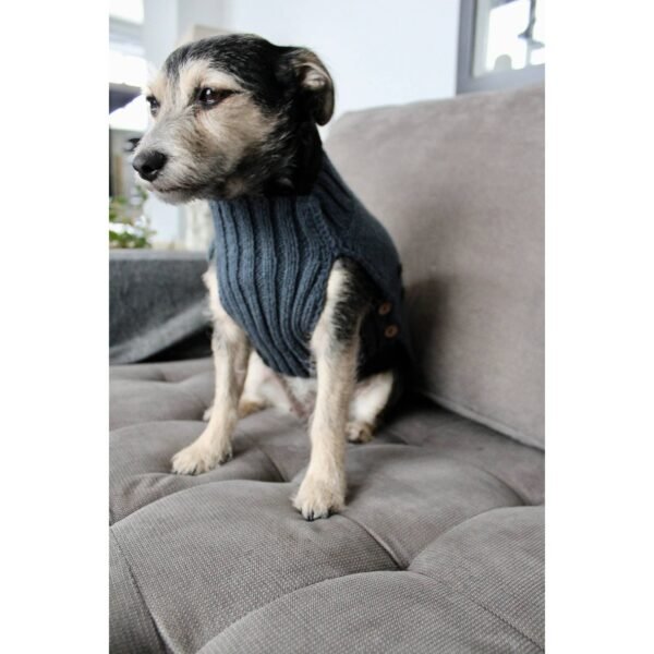 Knitted dog sweater manufacturer