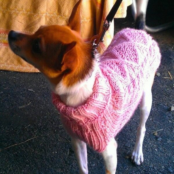 Manufacturer of white woollen sweater for dogs - Image 2