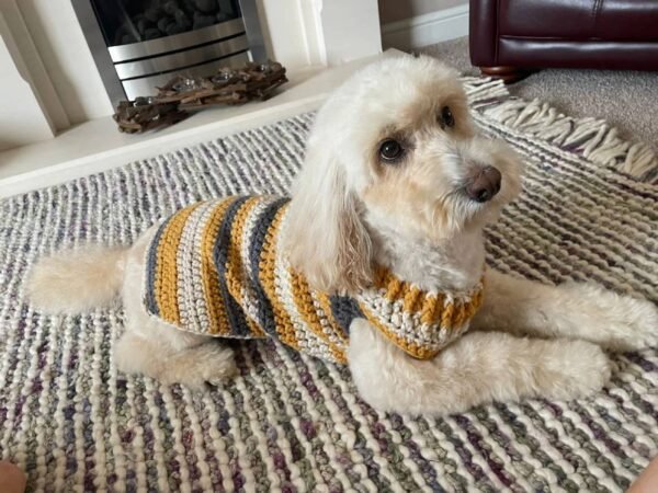 Manufacturer of Dog Sweater Crochet Large Warm