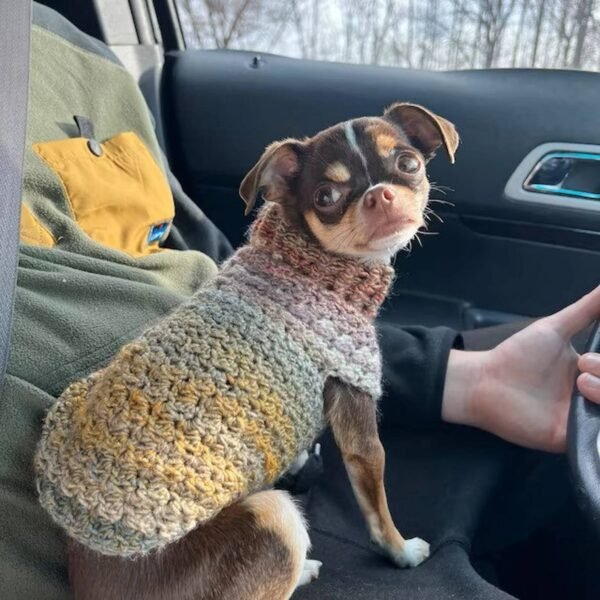 Dog Sweater and Clothing Supplier