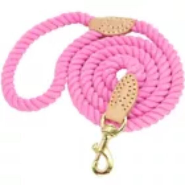 Luxury Nylon Dog Leash Braided Leather Pet Collars