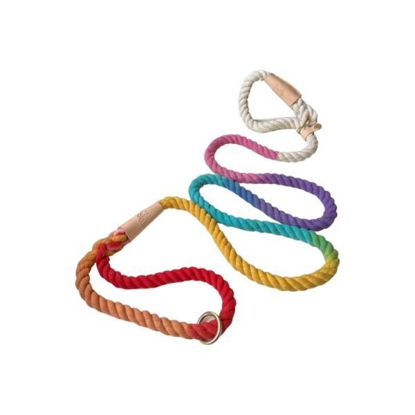 Manufacturer of multicolour dog leash