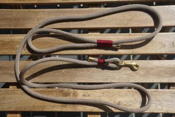 Exporter of Dog leash for large dogs
