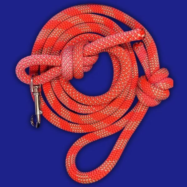 Dog leash manufacturer in India