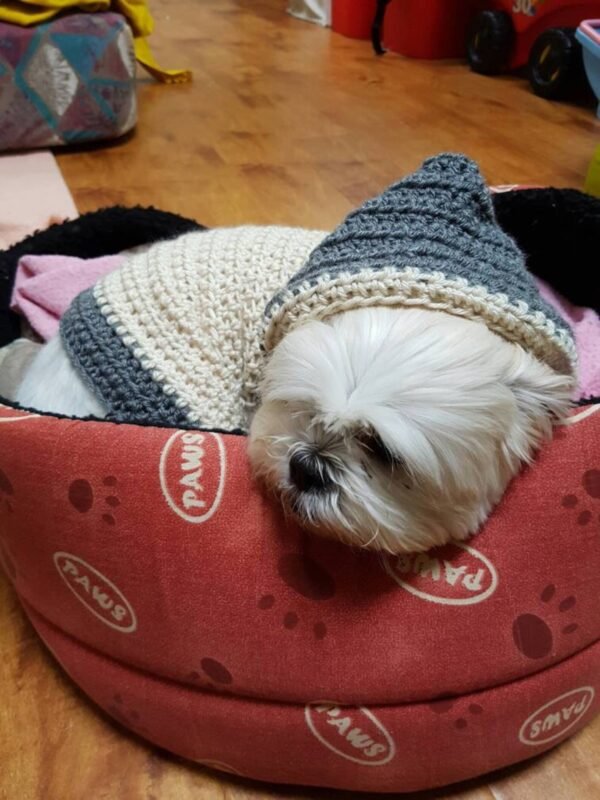 Dog Clothes Manufacturers in India - Image 2