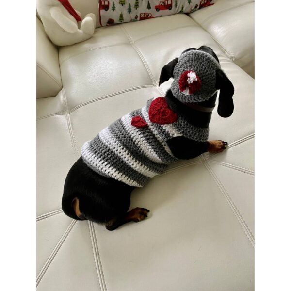 Dog sweater manufacturer for export