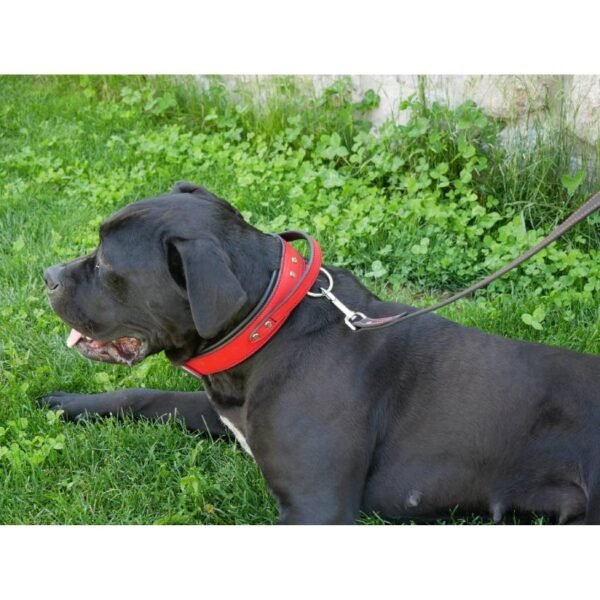 Red Leather Handle Dog Collar Wide Thick Heavy Duty Large Breed Collar - Image 2