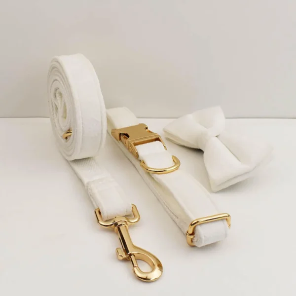Multiple Colour Velvet Personalized bowtie collar