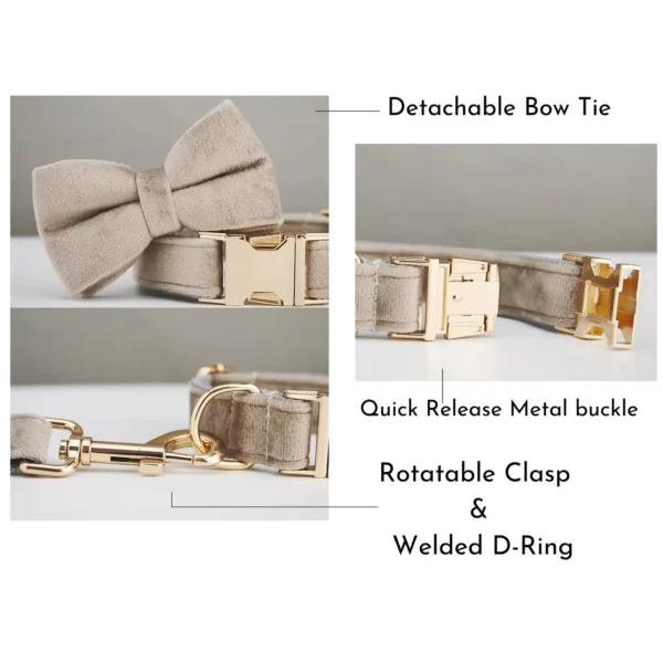 Multiple Colour Velvet Personalized bowtie collar - Image 2