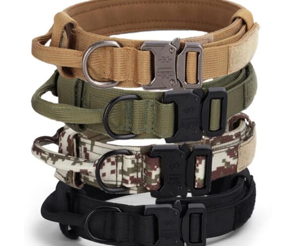 Webbing Dog Collar With Handle Training Collar