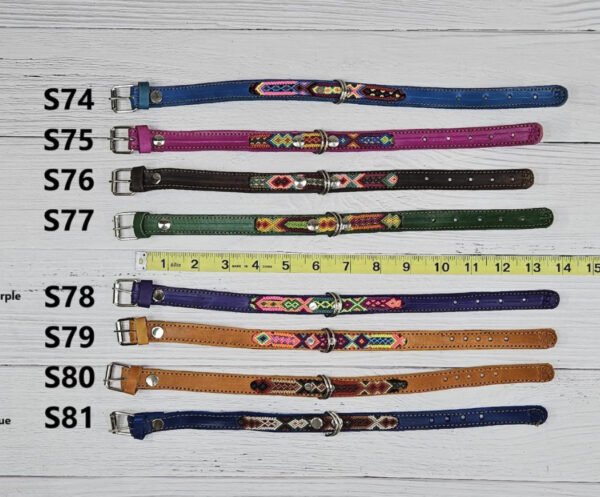 Leather Dog Collar Handmade by Mexican Artisans