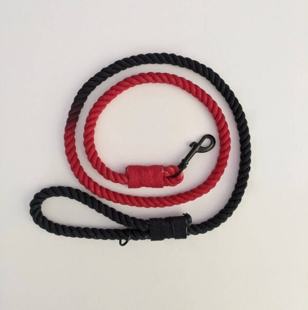 Durable Automatic Retractable Nylon Dog Leash - Image 3