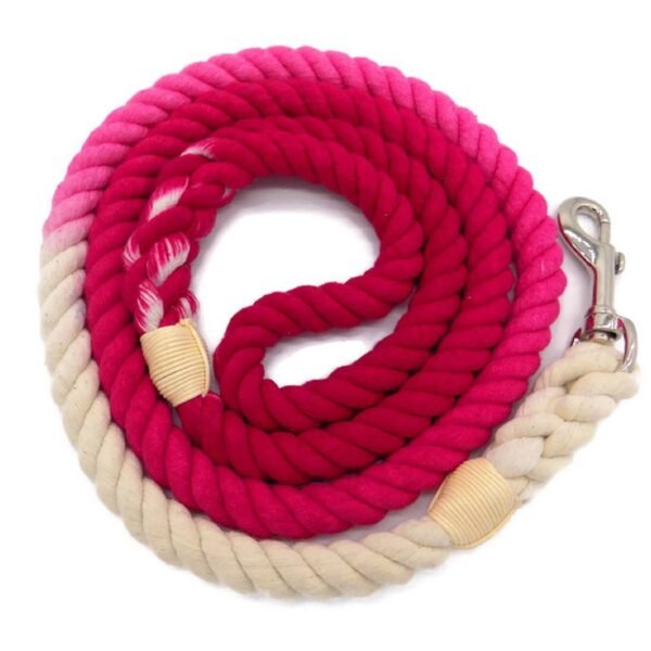 Heavy Duty Automatic Retractable Dog Leash