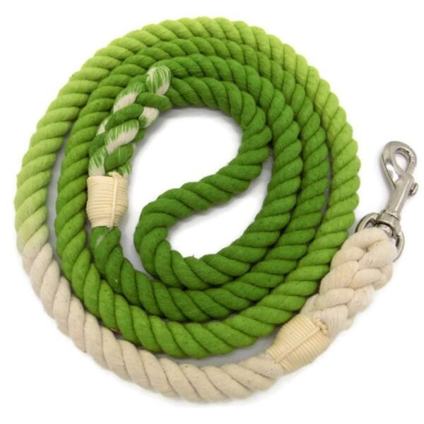 Heavy Duty Automatic Retractable Dog Leash - Image 2
