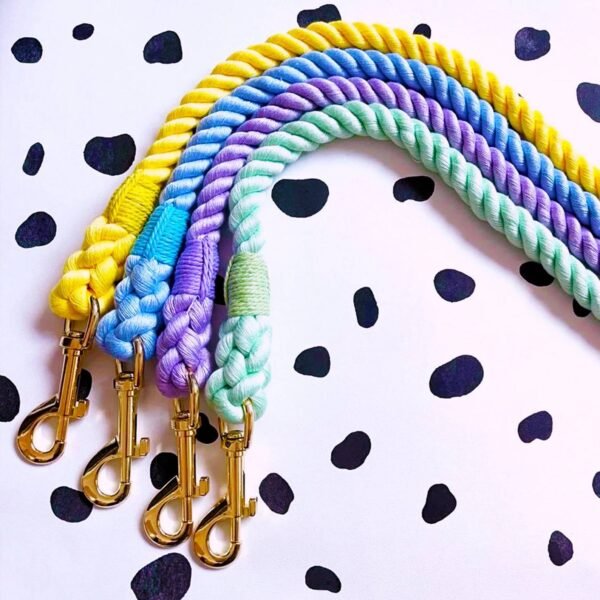 Handmade Luxury Dog Leash for Small Dogs