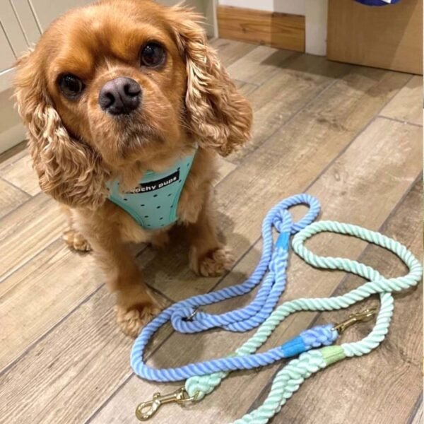 Customisable Adventure Dog Leash-Desert Recycled Quality Handmade Rope Dog Lead