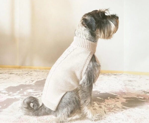 Wool Vest for Medium Size Dog Standard Schnauzer clothing