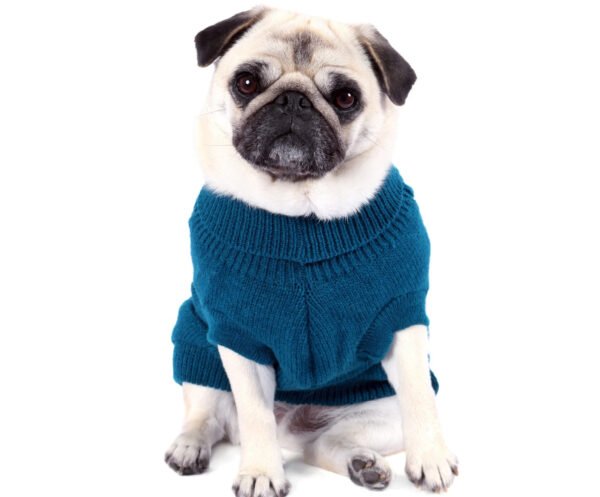 Teal Cable Knit Dog Sweater Dog Sweater Winter Dog Jumper