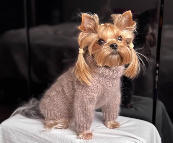 Handmade Knitted Dog Sweater Turkish Mohair Soft