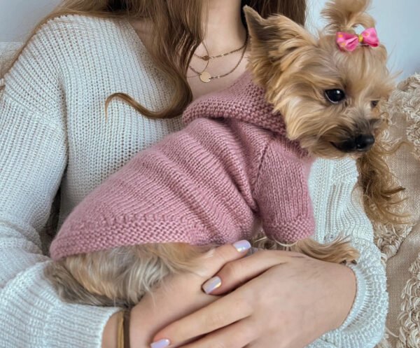 Wool sweater for puppy & Warm dog clothes Dog Hoodie Sweater