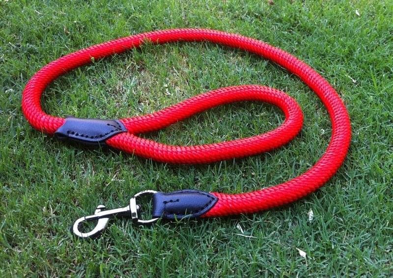 Nylon Nylon Rope Dog Leash Supplier